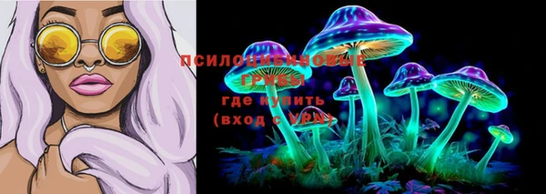 ешки Пересвет