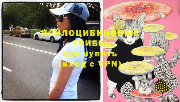 ешки Осташков