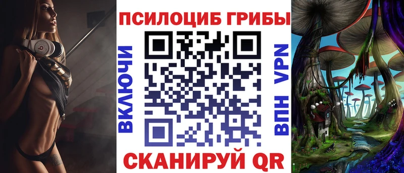 kraken зеркало  купить наркоту  Каргат  Галлюциногенные грибы Magic Shrooms 