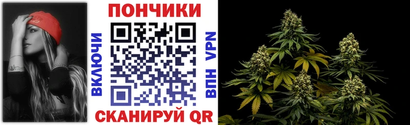 где найти наркотики  Каргат  Шишки марихуана индика 
